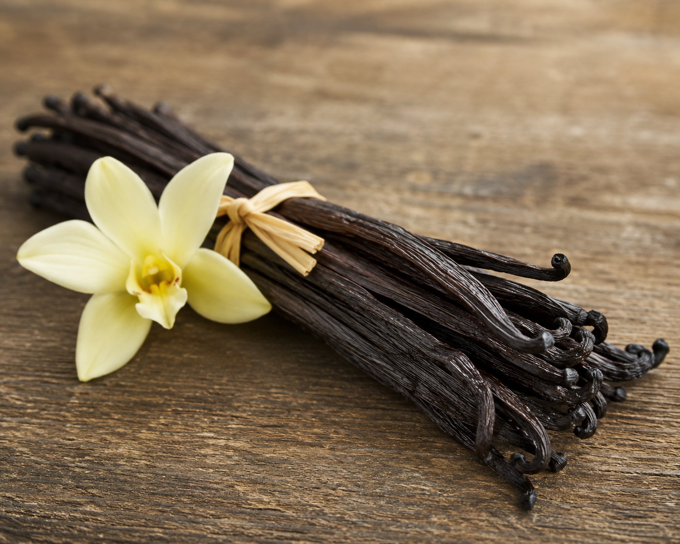 EMBER- Vanilla and Cedar Beeswax Candle- 7 oz